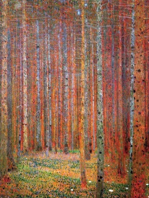Tannenwald