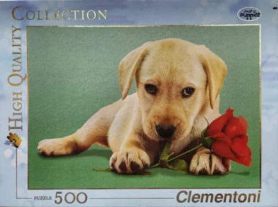 Dog with Rose