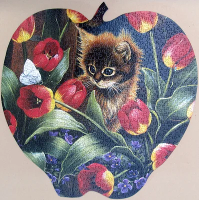 Peeking Through the Tulips
