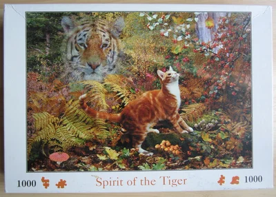 Spirit of the Tiger