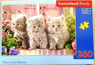 Three Grey Kitttens