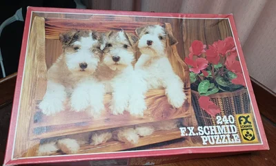 Fox-Terrier