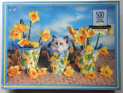 The Daffodillies Kitten