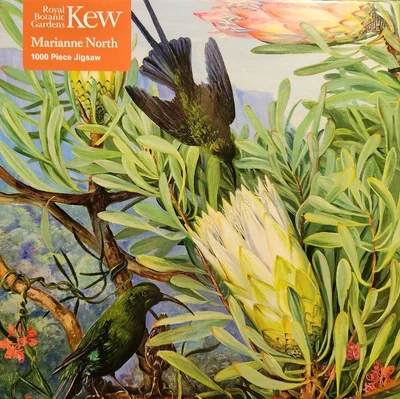 Honeyflowers and Honeysuckers