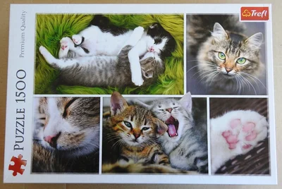 Just Cat Things - Collage