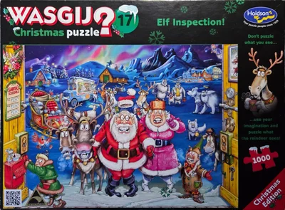 17 - Elf Inspection