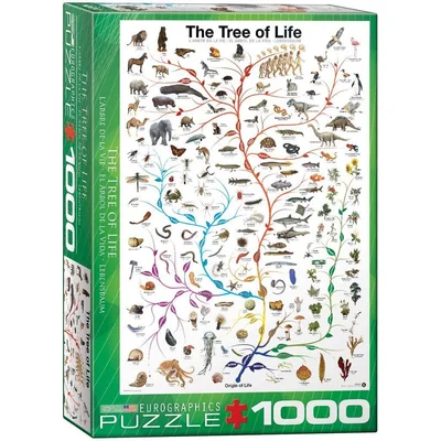 The Tree of Life