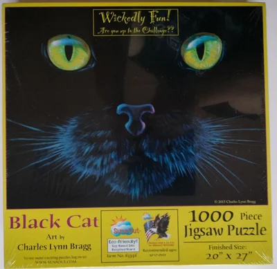 Black cat
