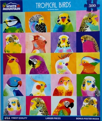 Tropical Birds