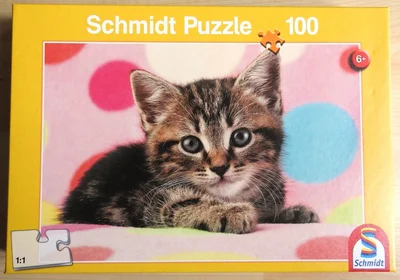 Cute Kitten