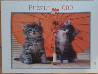 Chatons sous ombrelle