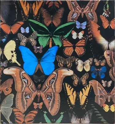 Butterflies