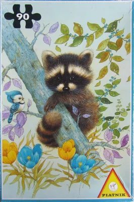 Waschbär