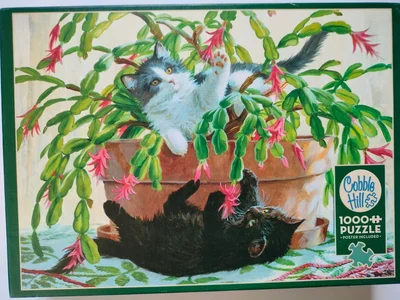 Cactus kitties