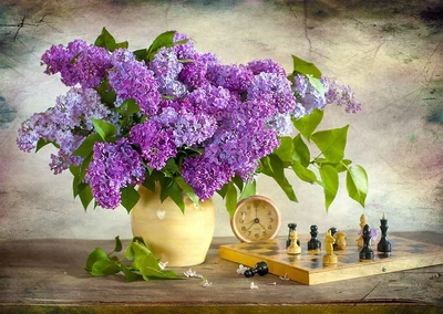 Lilac and Chess