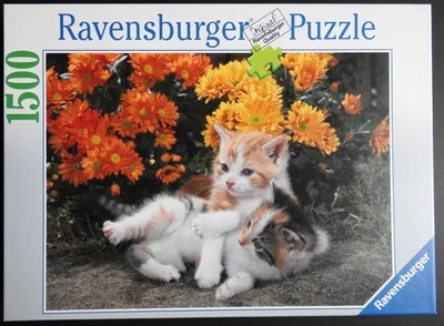 Spielende Kätzchen