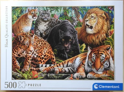 Wild Cats