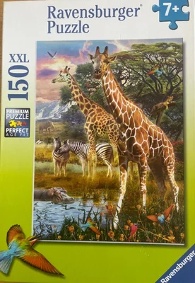 Giraffes in Africa