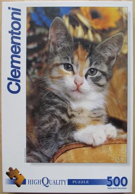 Pussy Cat