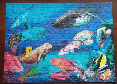 Oceans