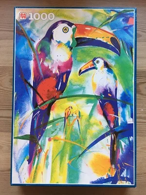 Couple de Toucans