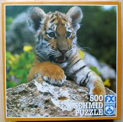 Tigerbaby