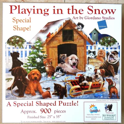 Playing in the Snow