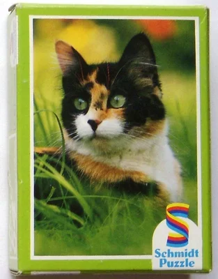 Calico Cat