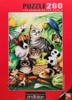 Magic Pets