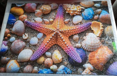Étoile de mer