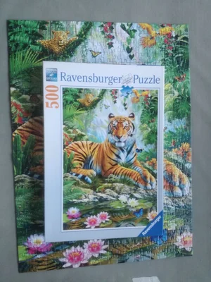 Tiger in the Jungle