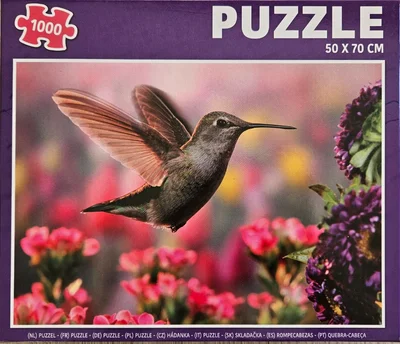 Kolibri