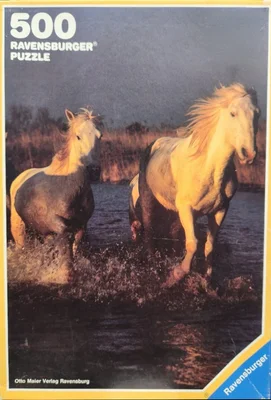 Horses in the Camargue