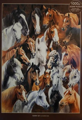 Saddle Up!