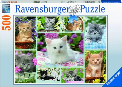Chatons dans leurs corbeilles