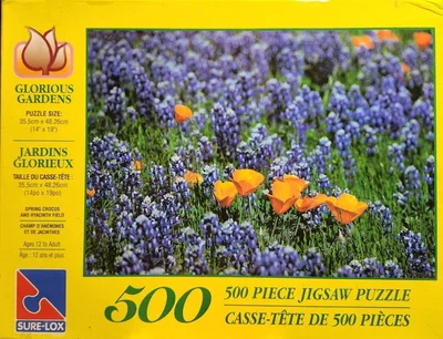 Spring Crocus and Hyacinth Field