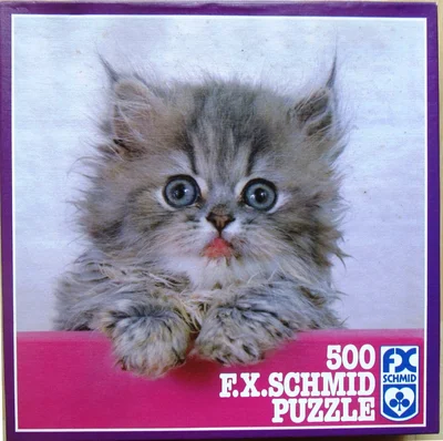 Pussy Cat