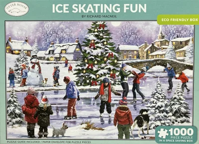 Ice Skating Fun