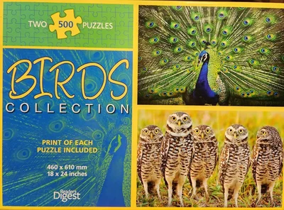Birds Collection