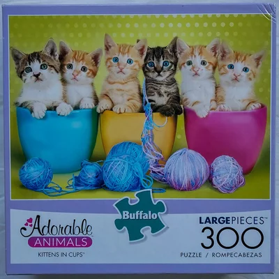 Kittens in Cups
