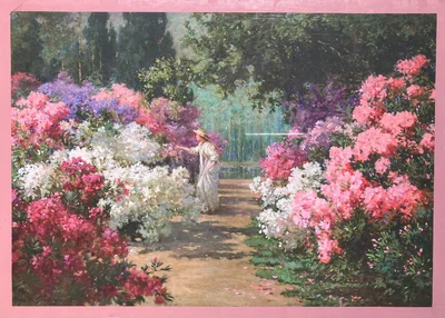 In Bloom