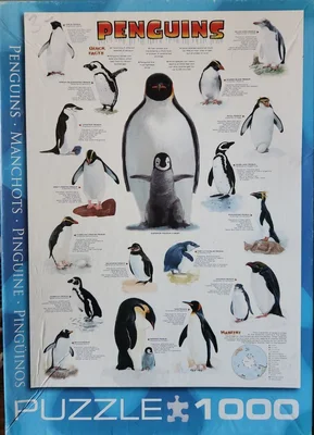 Penguins