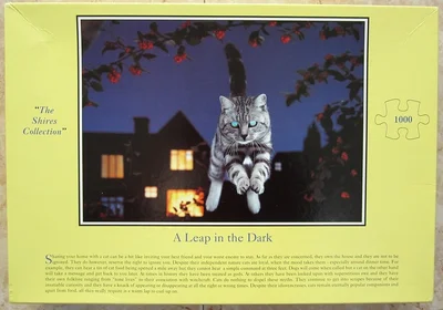 A Leap in the Dark