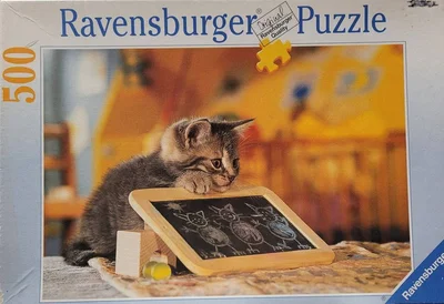 Classroom Kitten