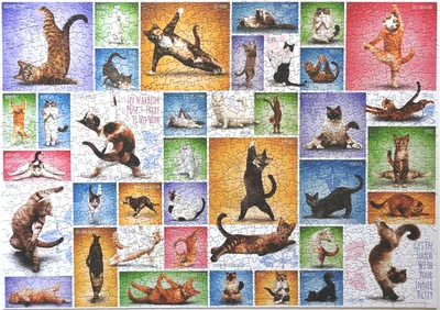 Yoga Cats