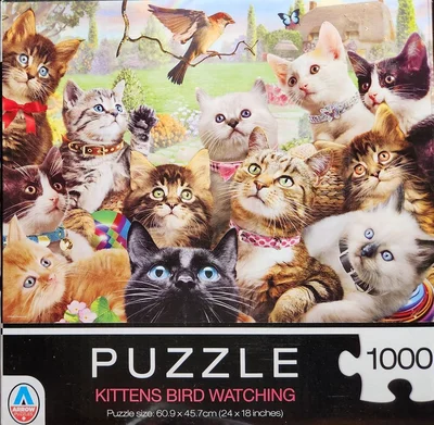 Kittens Bird Watching