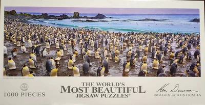 Penguins, Macquarie Island