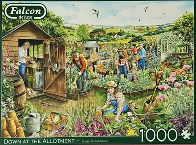 Down at the Allotment