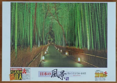 Light Up Sagano
