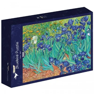 Irises, 1889